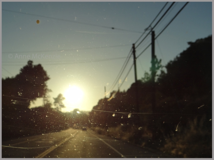 road trip feeling / dirty windscreen / sunset in carmel / 